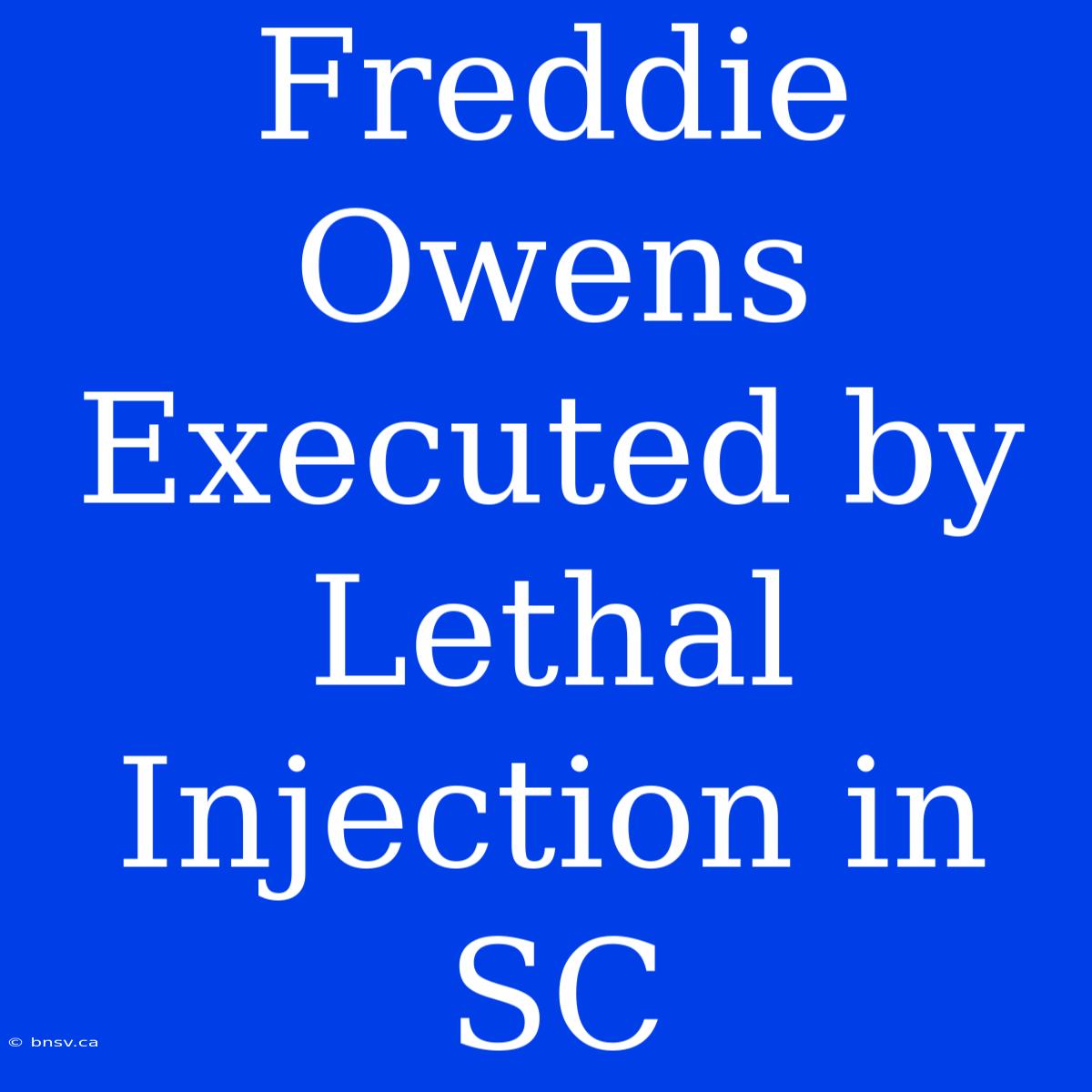 Freddie Owens Executed By Lethal Injection In SC