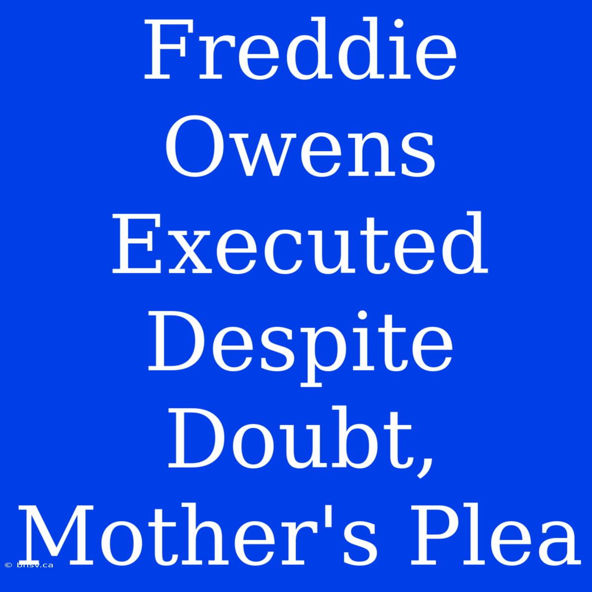 Freddie Owens Executed Despite Doubt, Mother's Plea