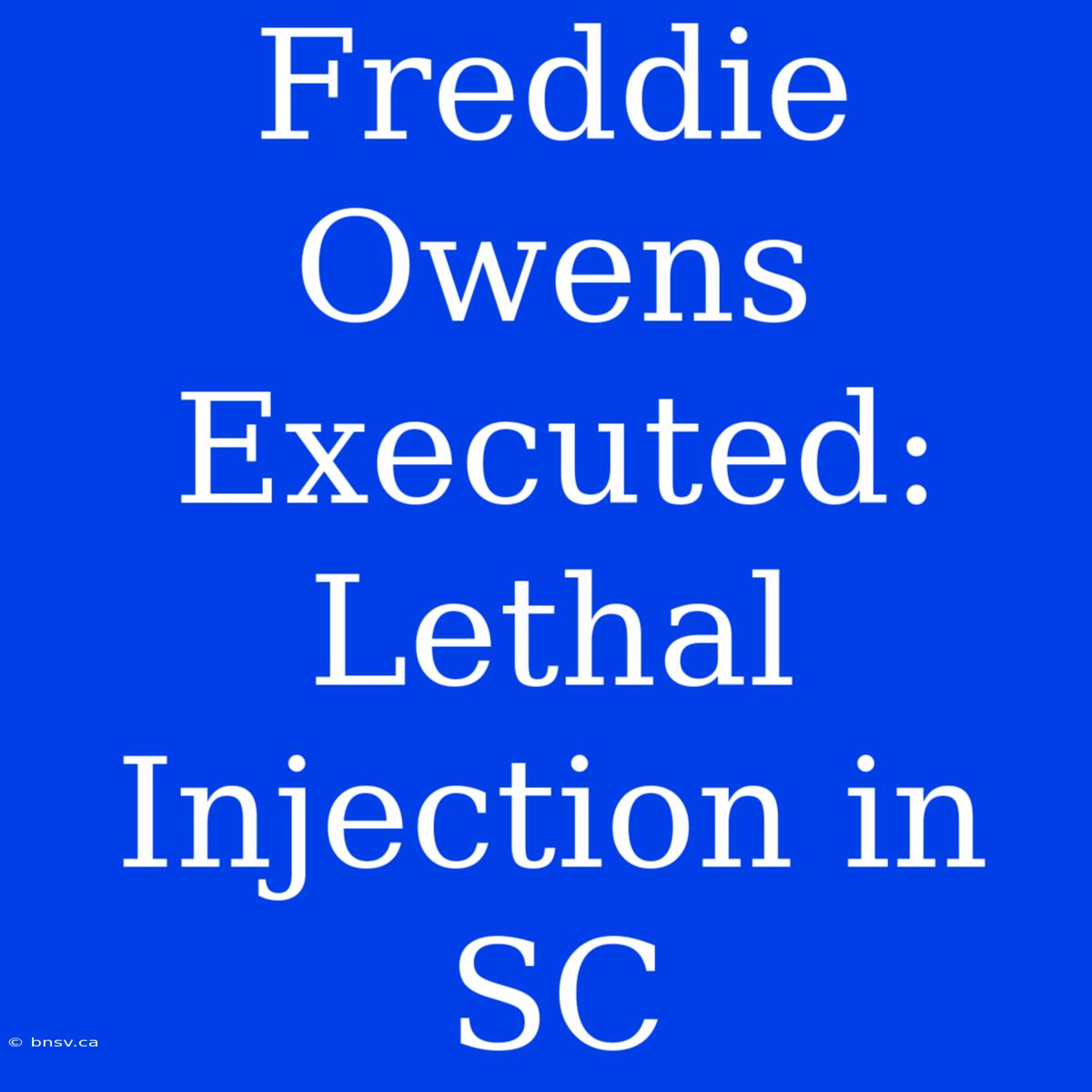 Freddie Owens Executed: Lethal Injection In SC