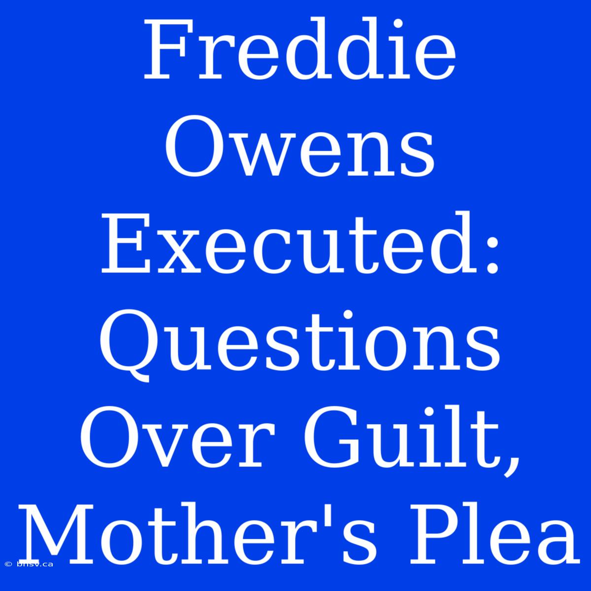 Freddie Owens Executed: Questions Over Guilt, Mother's Plea