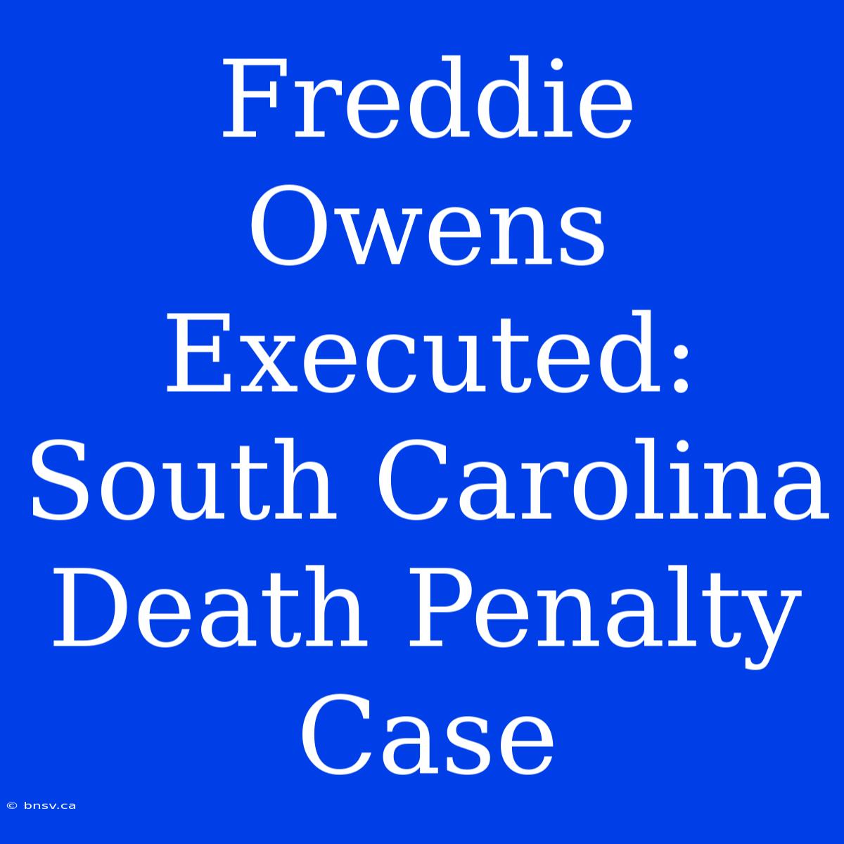 Freddie Owens Executed: South Carolina Death Penalty Case