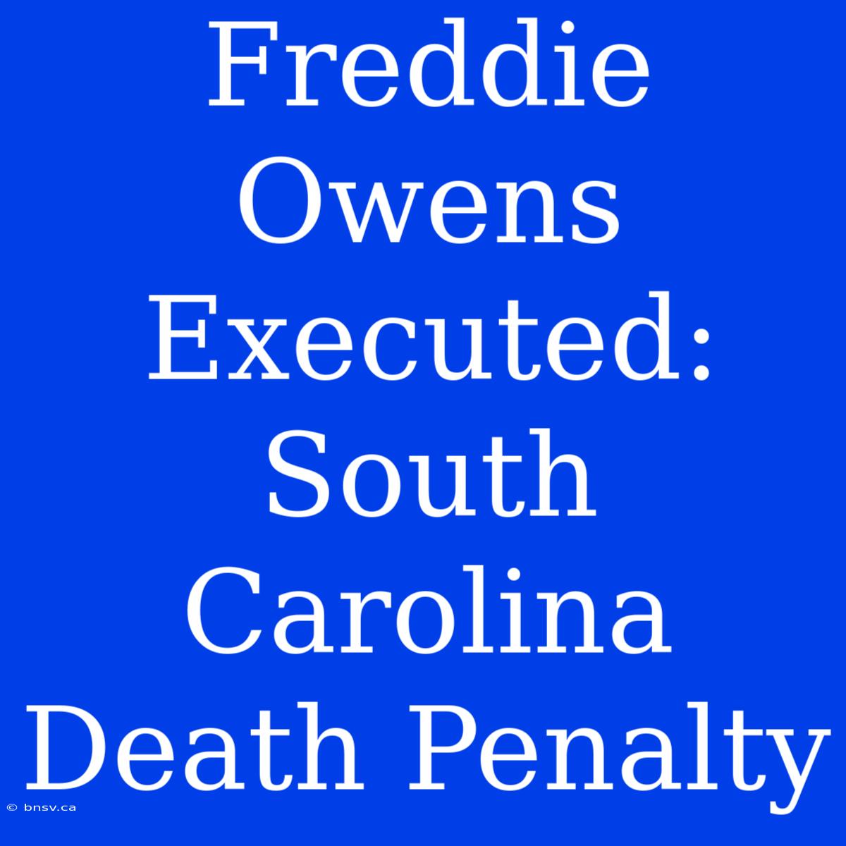 Freddie Owens Executed: South Carolina Death Penalty