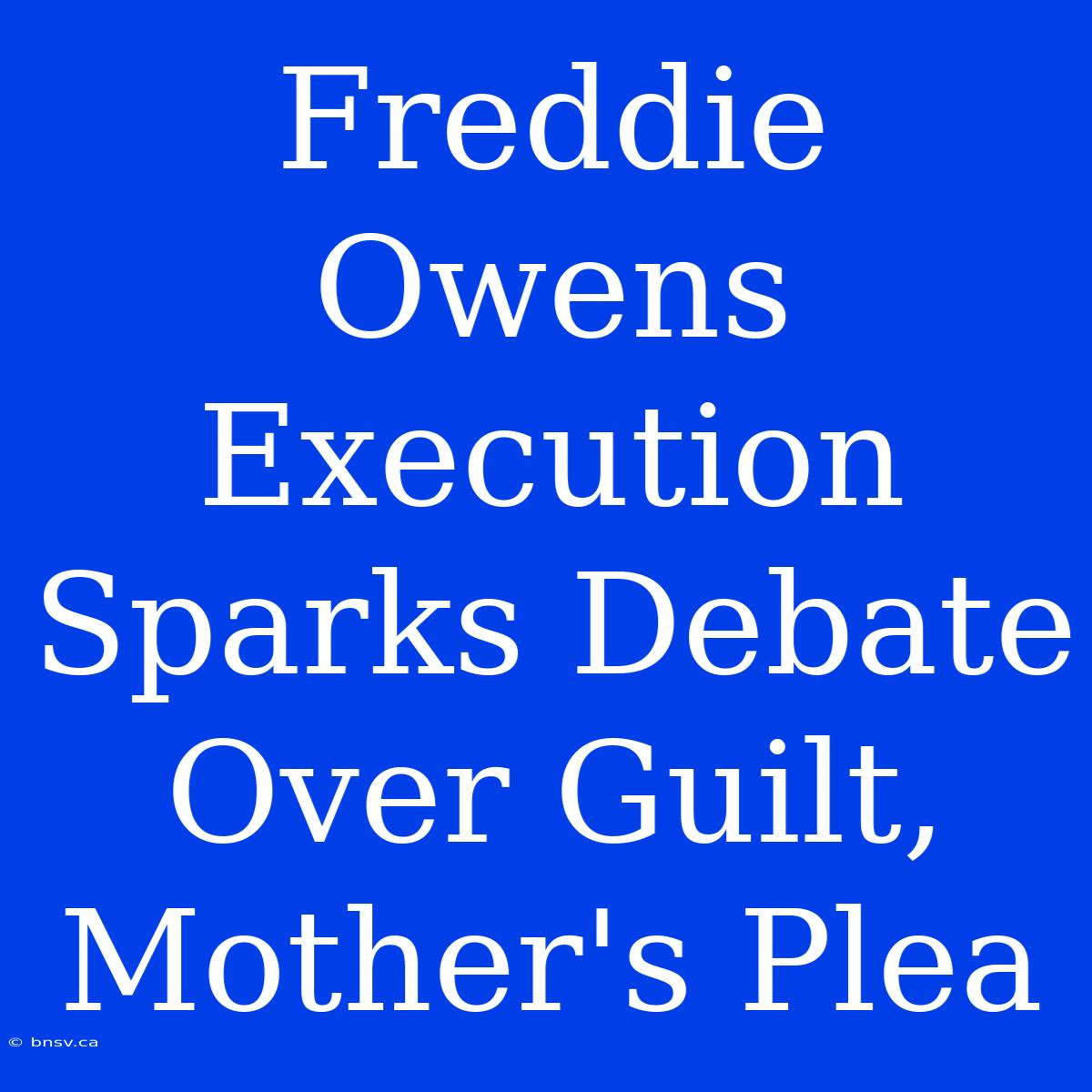 Freddie Owens Execution Sparks Debate Over Guilt, Mother's Plea