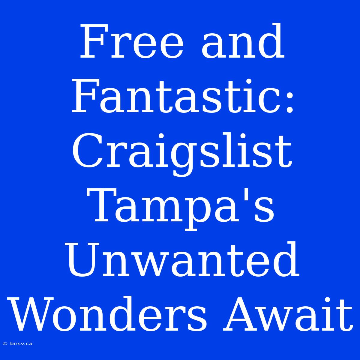 Free And Fantastic: Craigslist Tampa's Unwanted Wonders Await