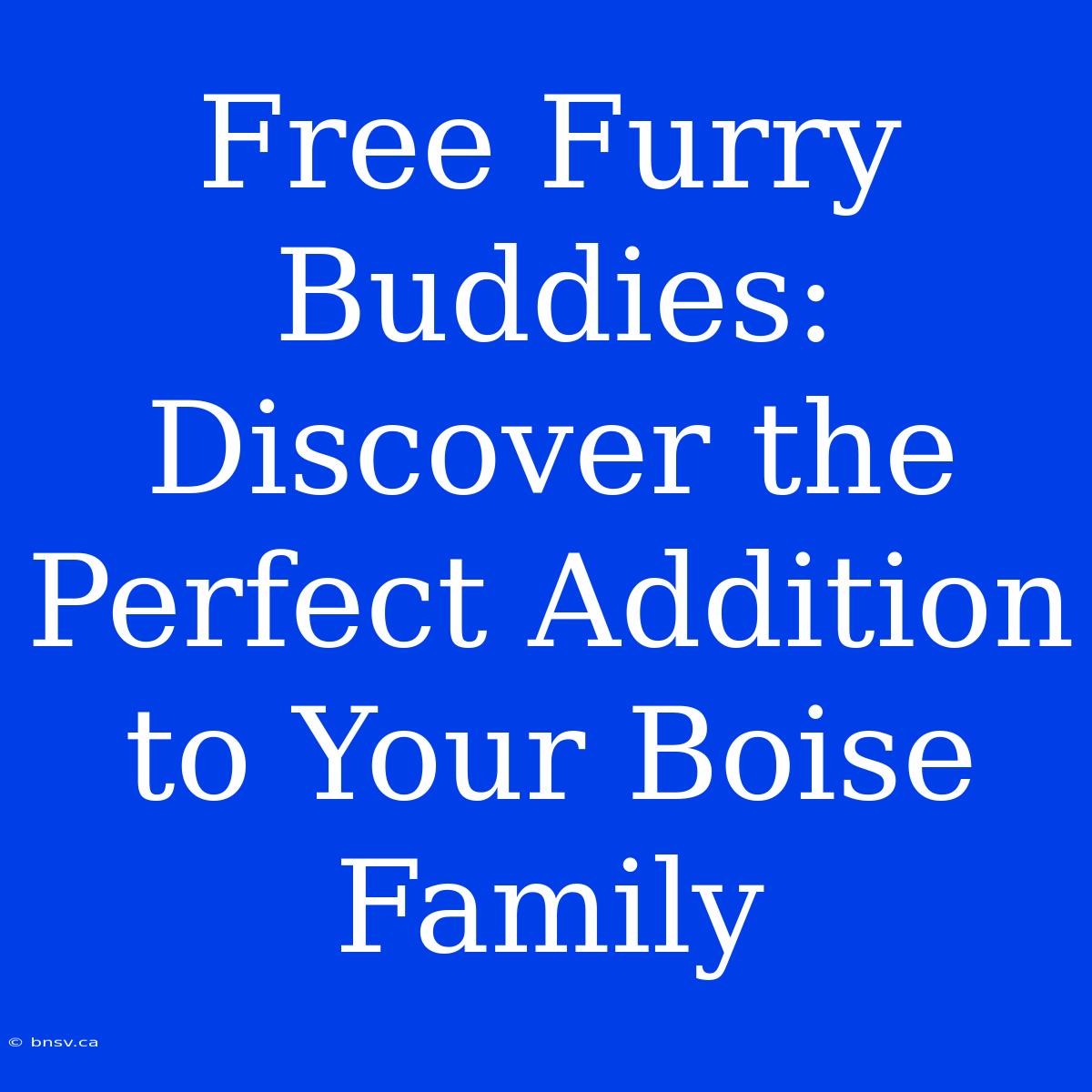 Free Furry Buddies: Discover The Perfect Addition To Your Boise Family