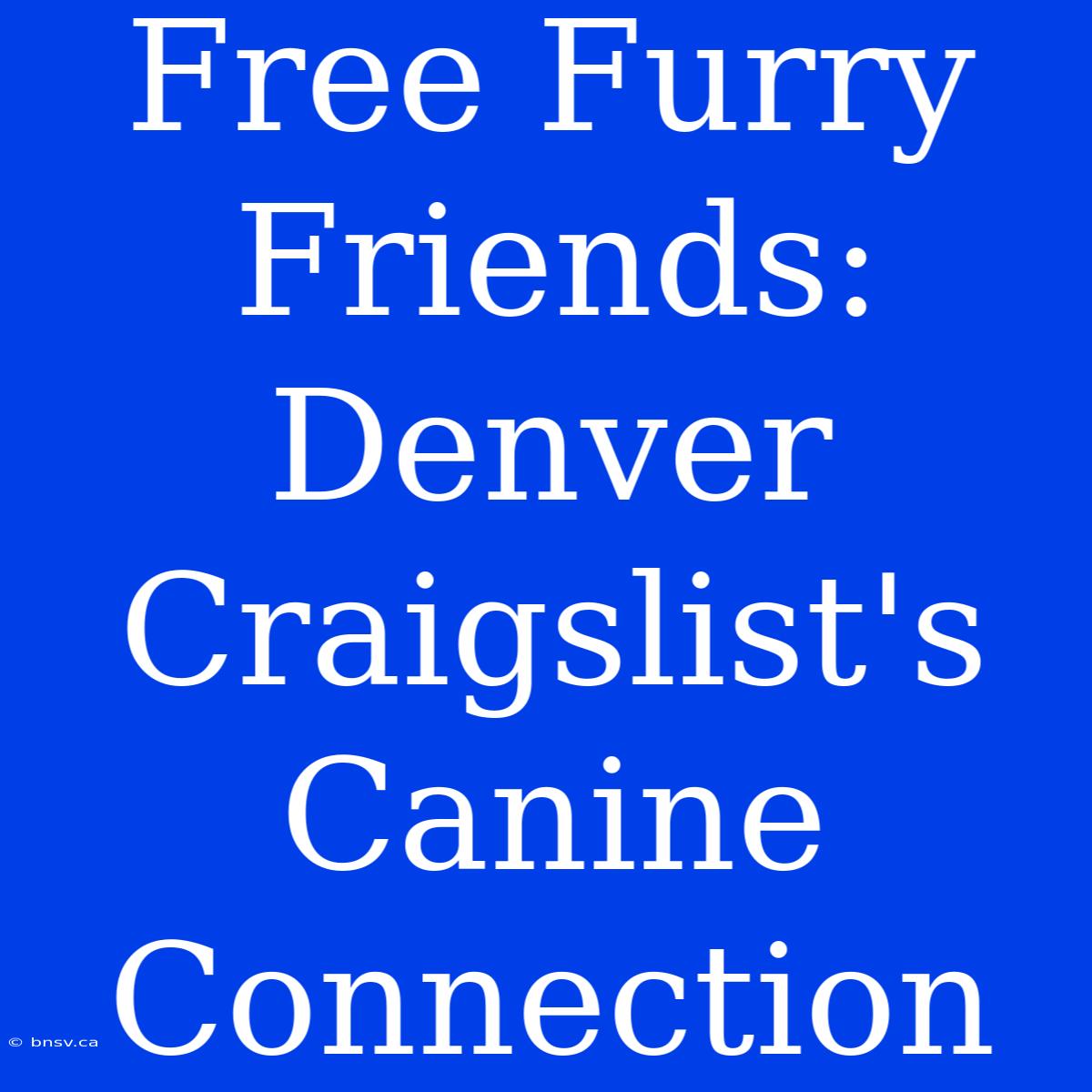 Free Furry Friends: Denver Craigslist's Canine Connection