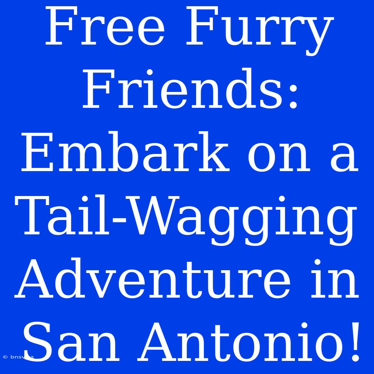 Free Furry Friends: Embark On A Tail-Wagging Adventure In San Antonio!