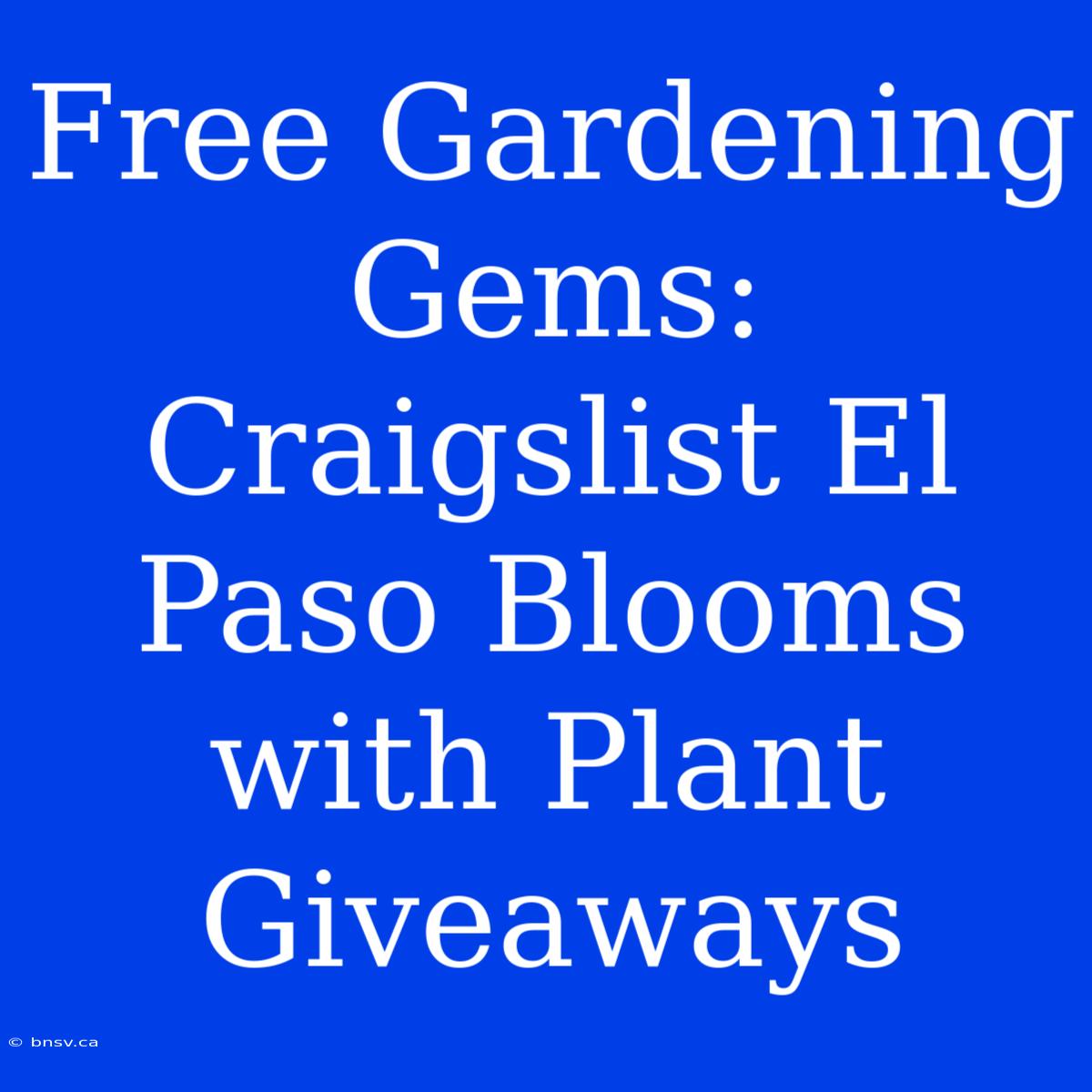 Free Gardening Gems: Craigslist El Paso Blooms With Plant Giveaways