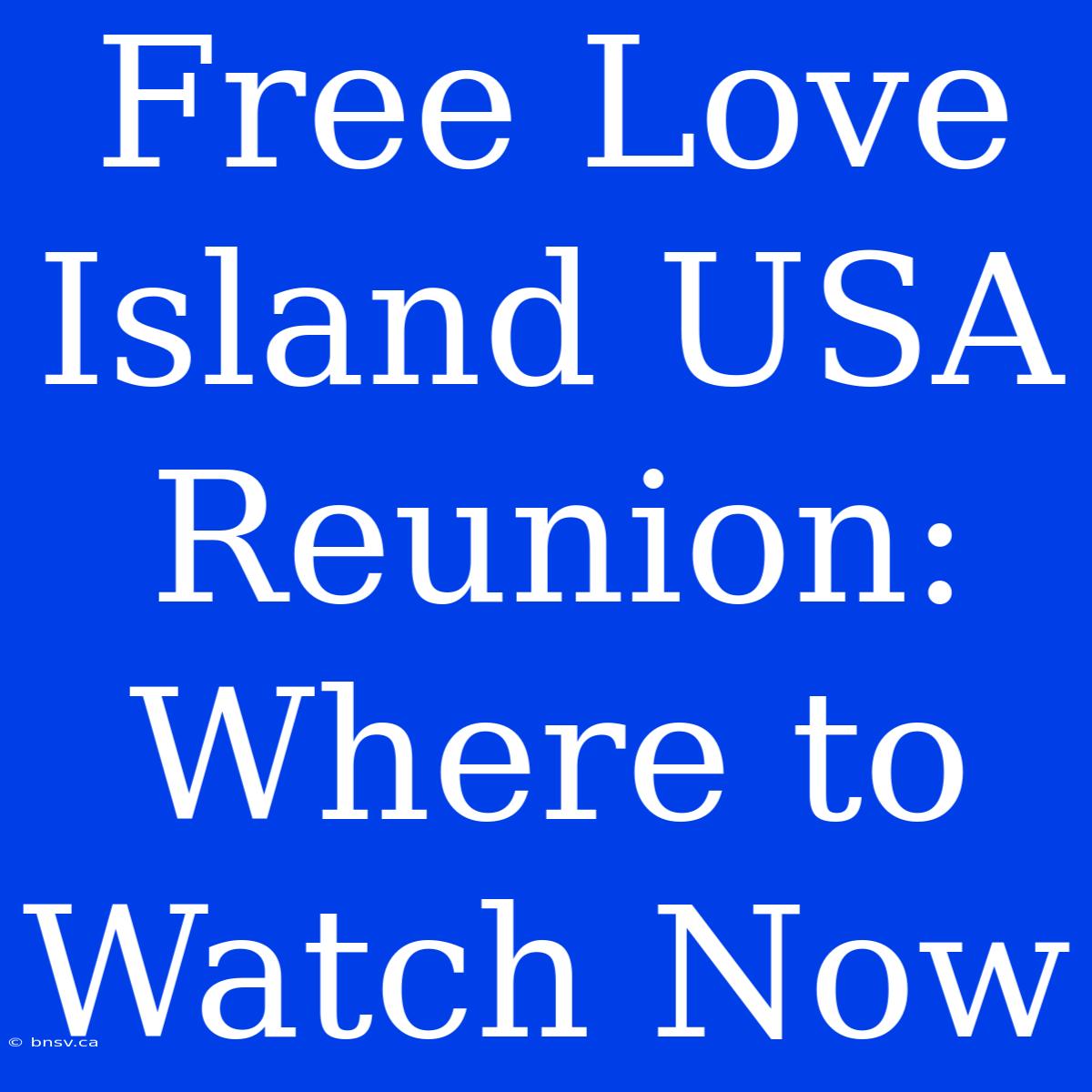 Free Love Island USA Reunion: Where To Watch Now