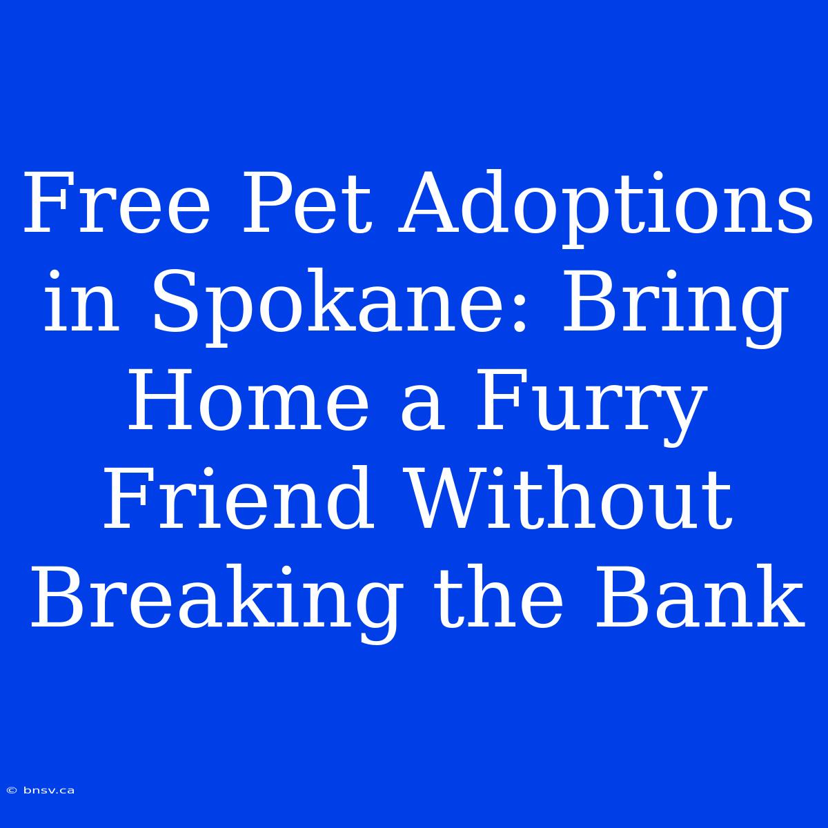 Free Pet Adoptions In Spokane: Bring Home A Furry Friend Without Breaking The Bank