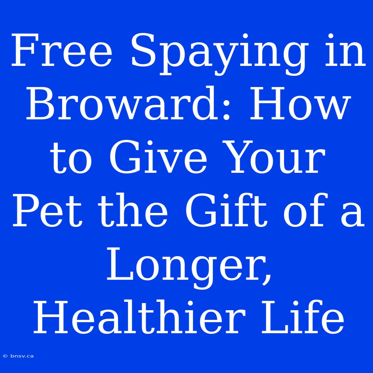 Free Spaying In Broward: How To Give Your Pet The Gift Of A Longer, Healthier Life