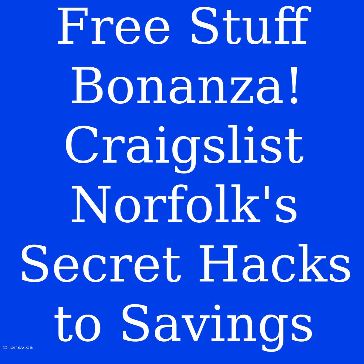 Free Stuff Bonanza! Craigslist Norfolk's Secret Hacks To Savings