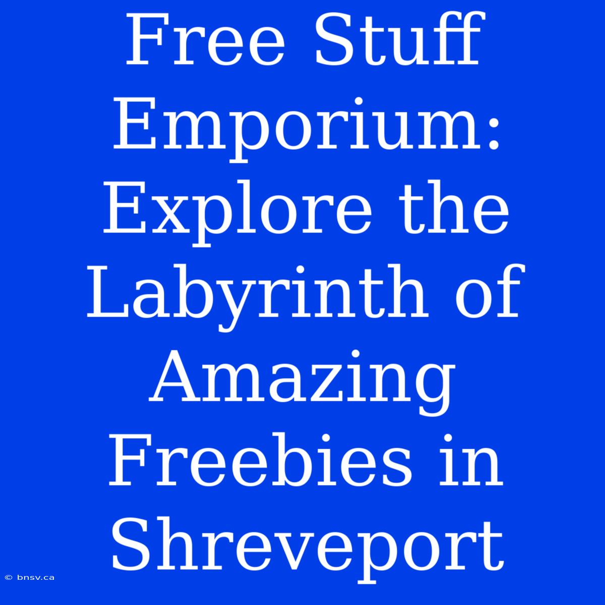 Free Stuff Emporium: Explore The Labyrinth Of Amazing Freebies In Shreveport