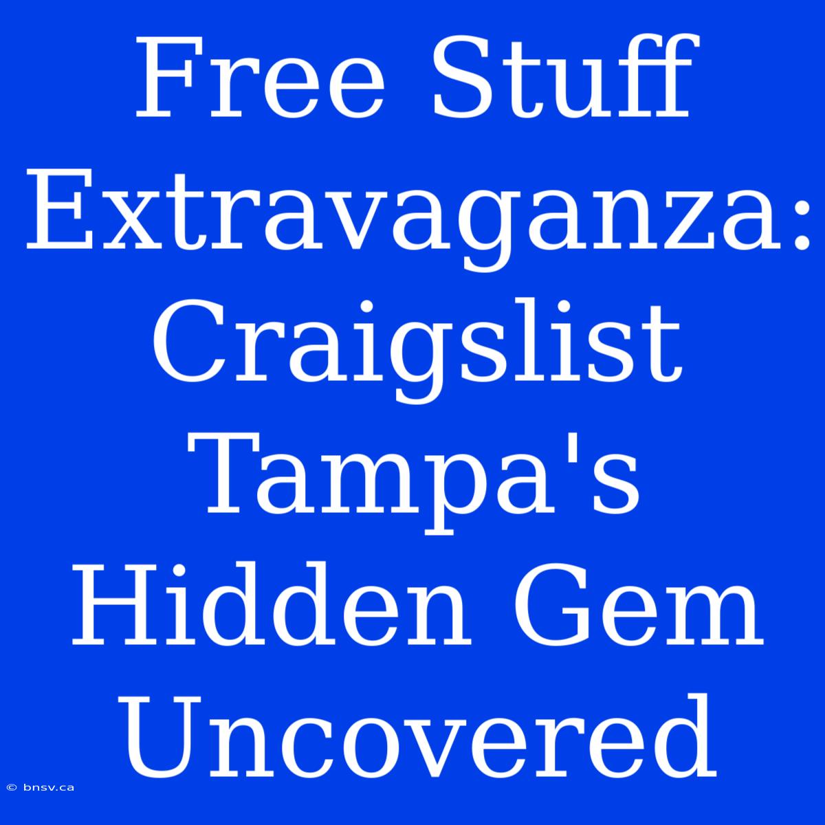 Free Stuff Extravaganza: Craigslist Tampa's Hidden Gem Uncovered