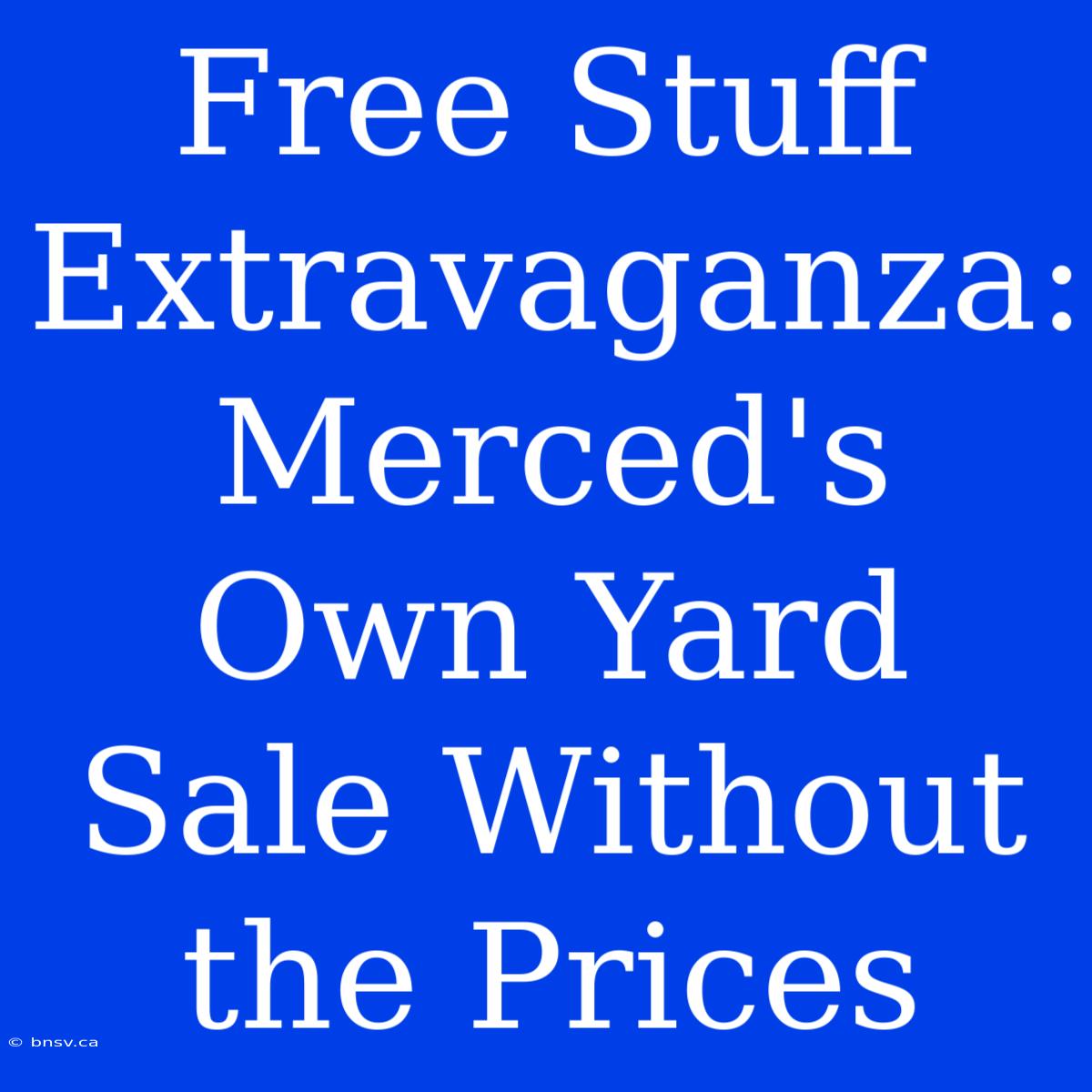 Free Stuff Extravaganza: Merced's Own Yard Sale Without The Prices