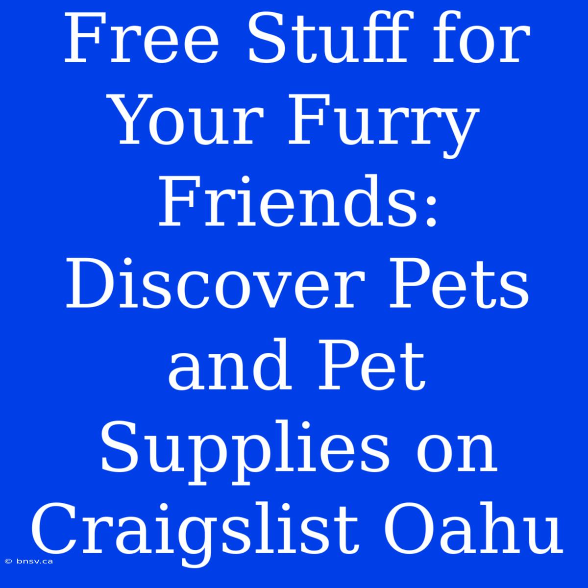 Free Stuff For Your Furry Friends: Discover Pets And Pet Supplies On Craigslist Oahu