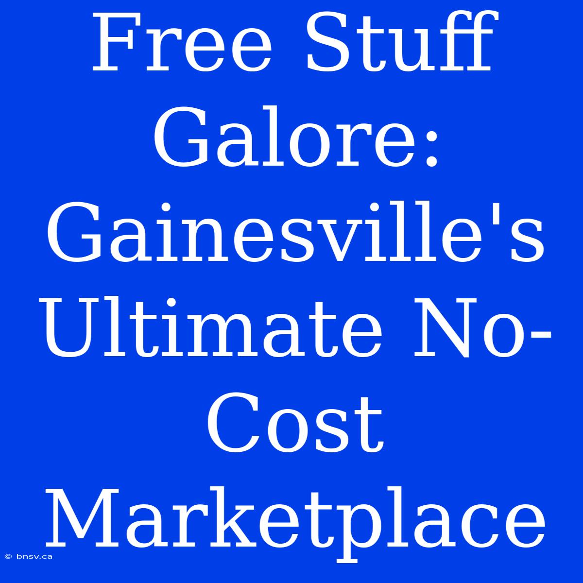 Free Stuff Galore: Gainesville's Ultimate No-Cost Marketplace