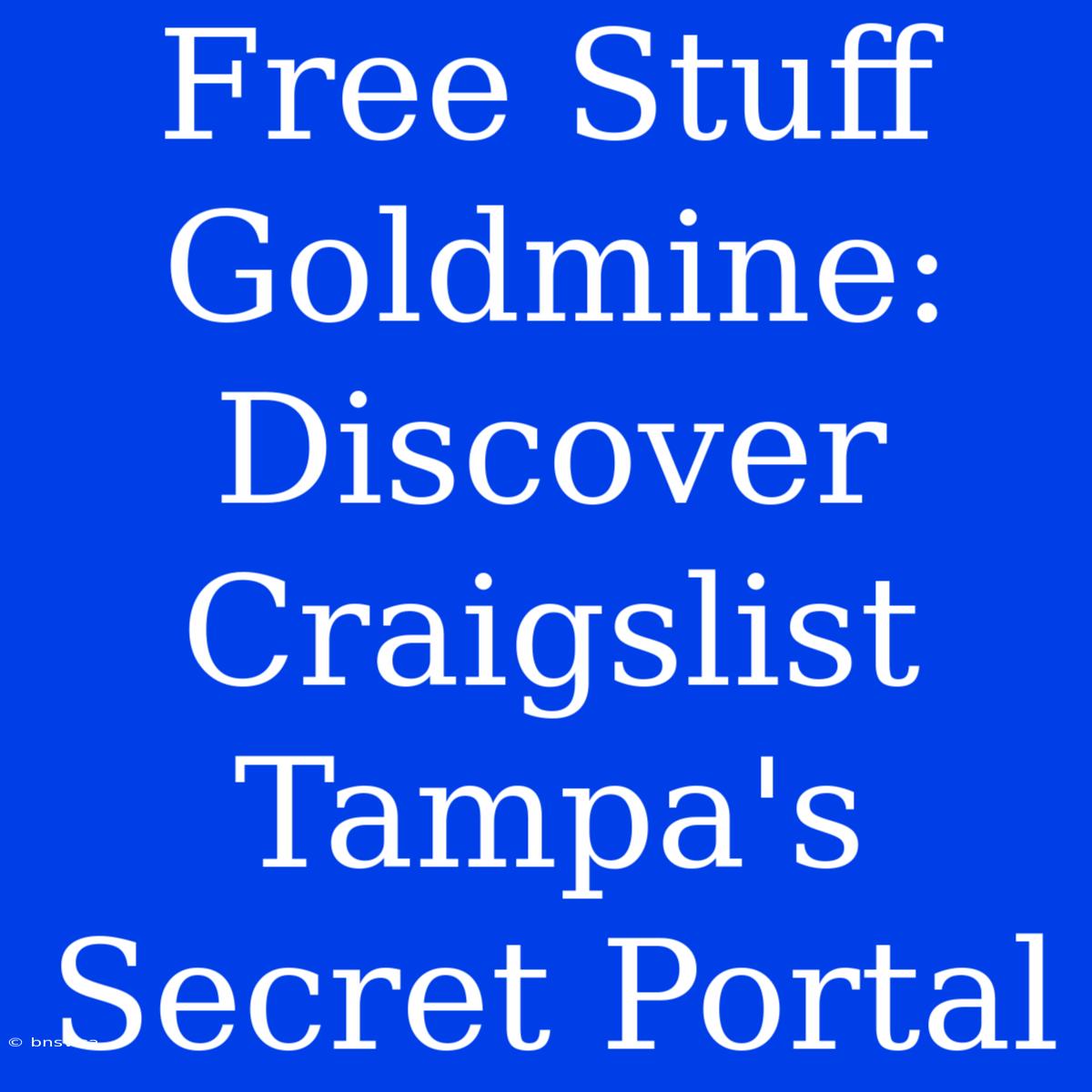 Free Stuff Goldmine: Discover Craigslist Tampa's Secret Portal