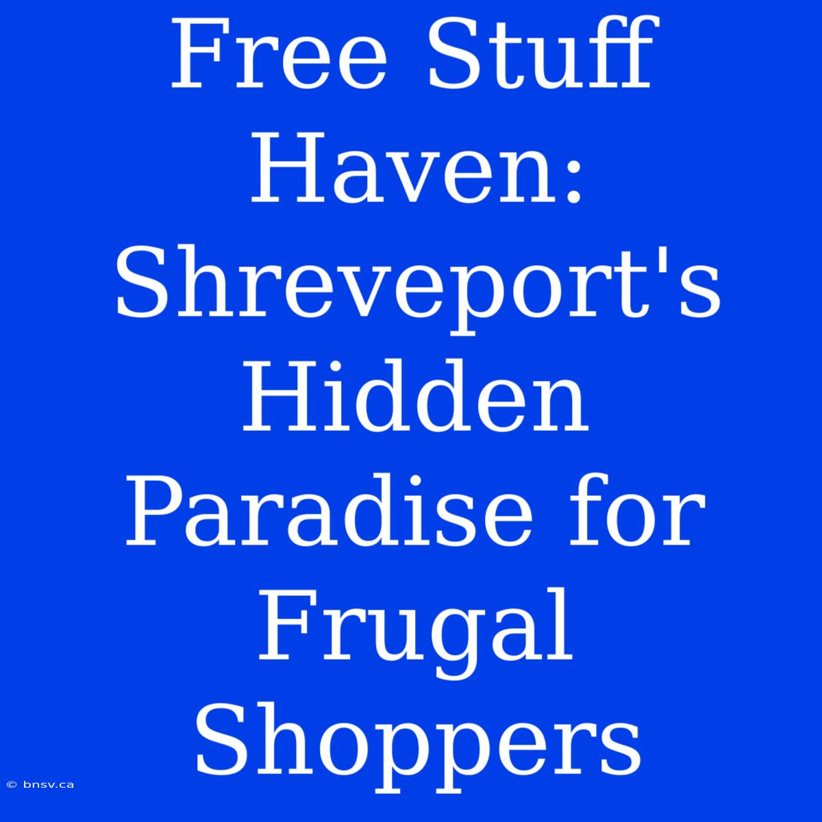 Free Stuff Haven: Shreveport's Hidden Paradise For Frugal Shoppers