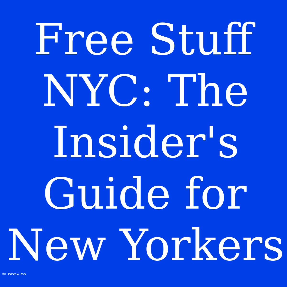 Free Stuff NYC: The Insider's Guide For New Yorkers