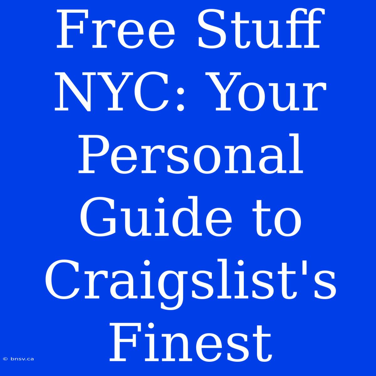 Free Stuff NYC: Your Personal Guide To Craigslist's Finest