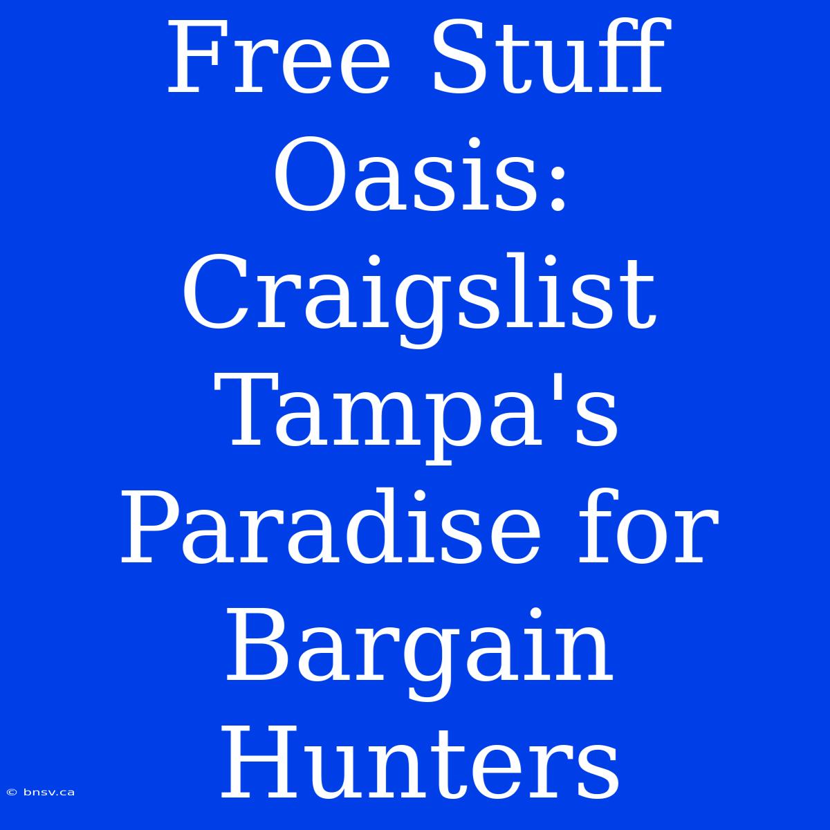 Free Stuff Oasis: Craigslist Tampa's Paradise For Bargain Hunters