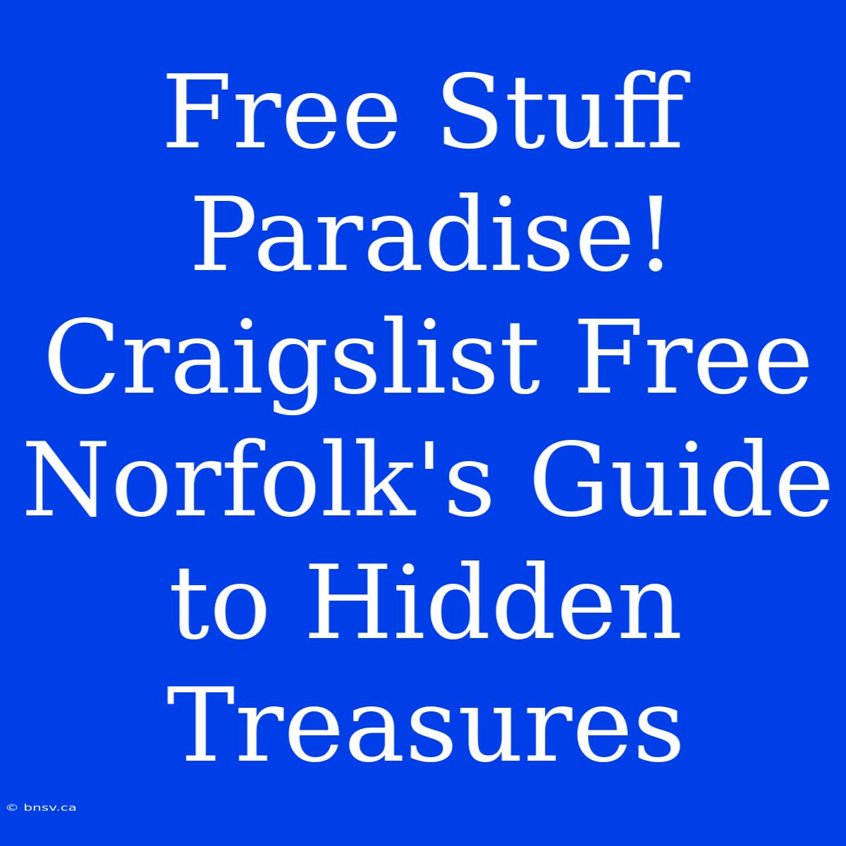 Free Stuff Paradise! Craigslist Free Norfolk's Guide To Hidden Treasures