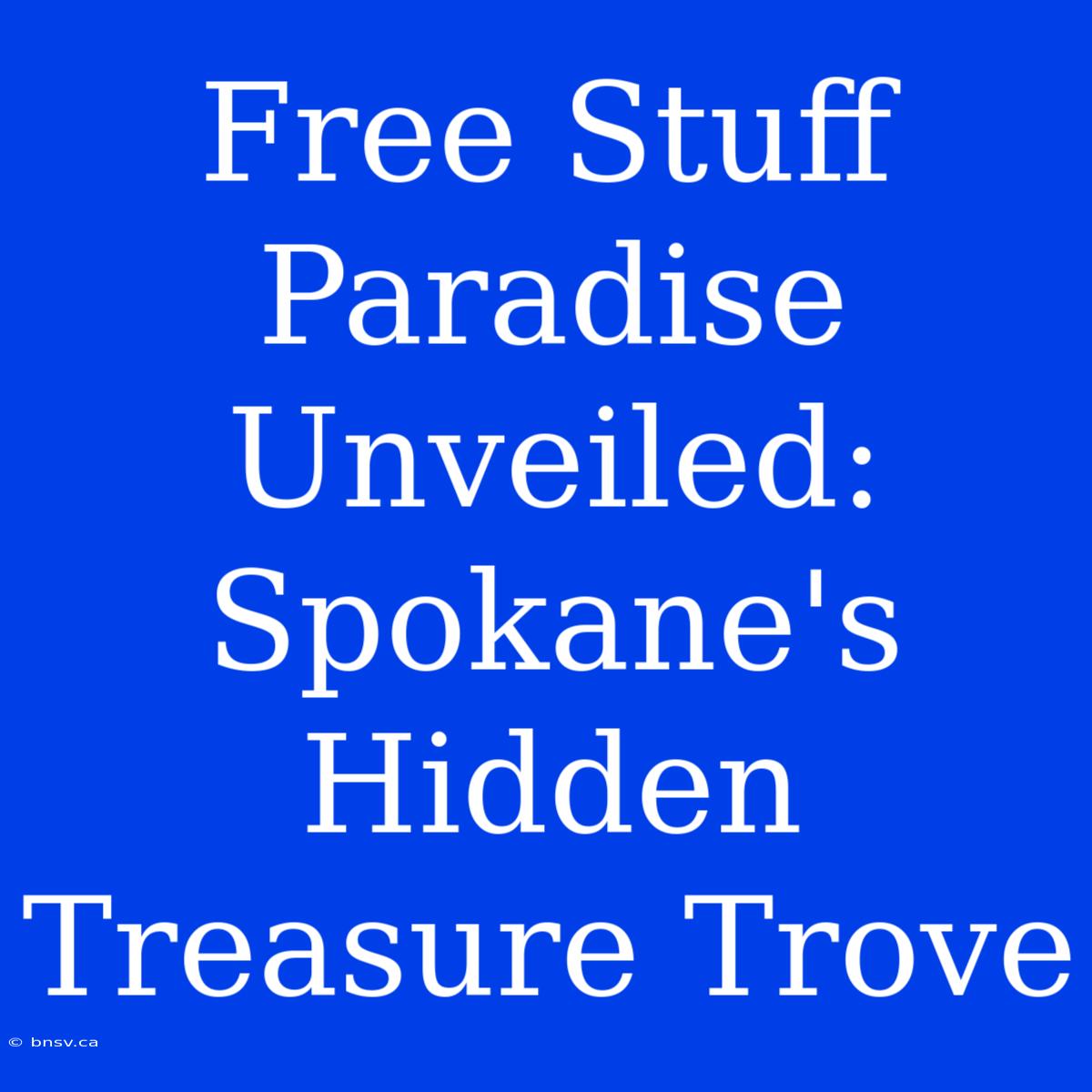 Free Stuff Paradise Unveiled: Spokane's Hidden Treasure Trove