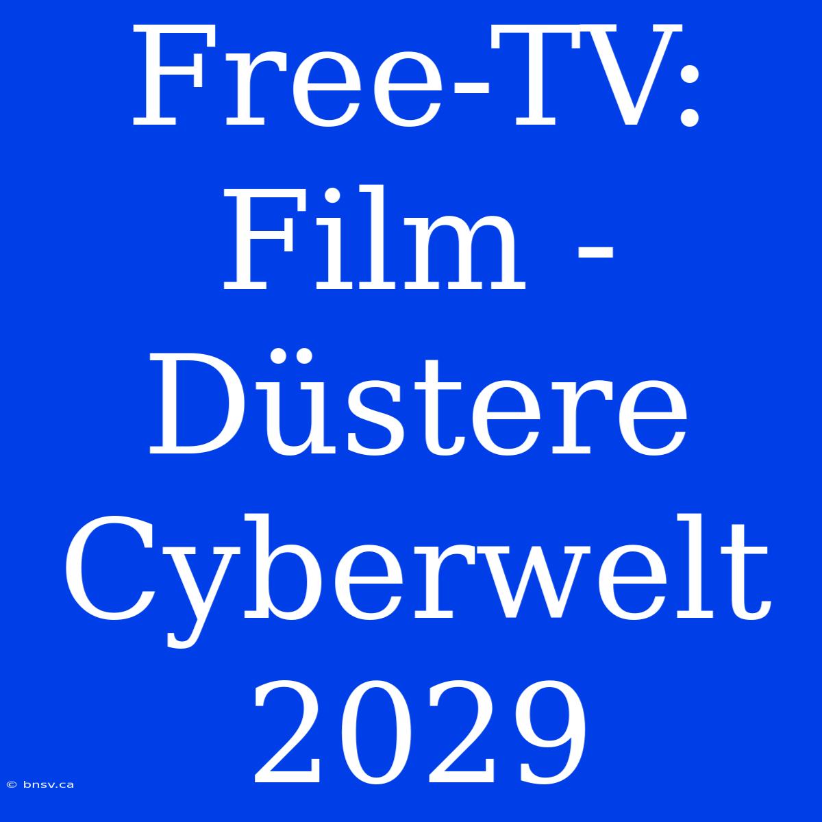 Free-TV: Film - Düstere Cyberwelt 2029