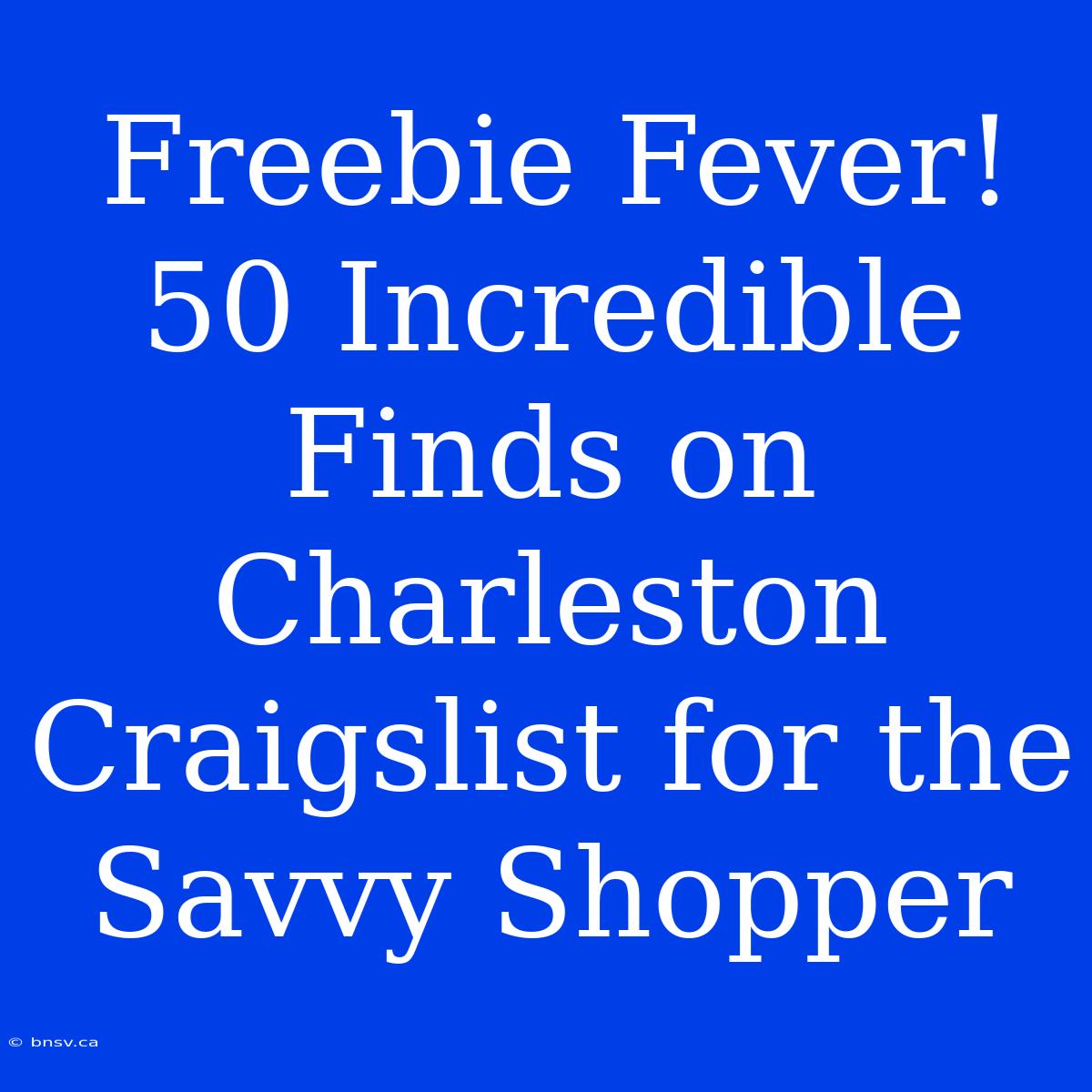 Freebie Fever! 50 Incredible Finds On Charleston Craigslist For The Savvy Shopper