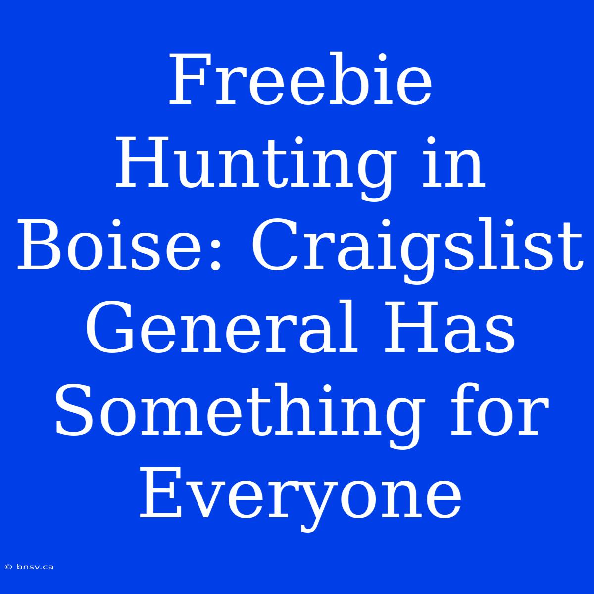 Freebie Hunting In Boise: Craigslist General Has Something For Everyone