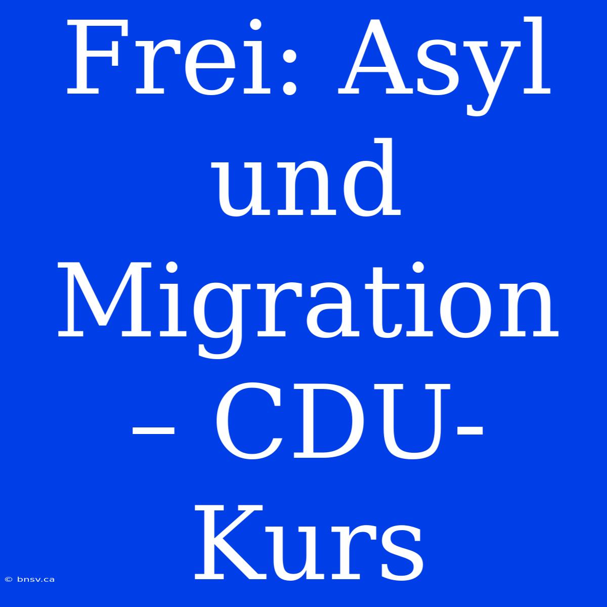 Frei: Asyl Und Migration – CDU-Kurs