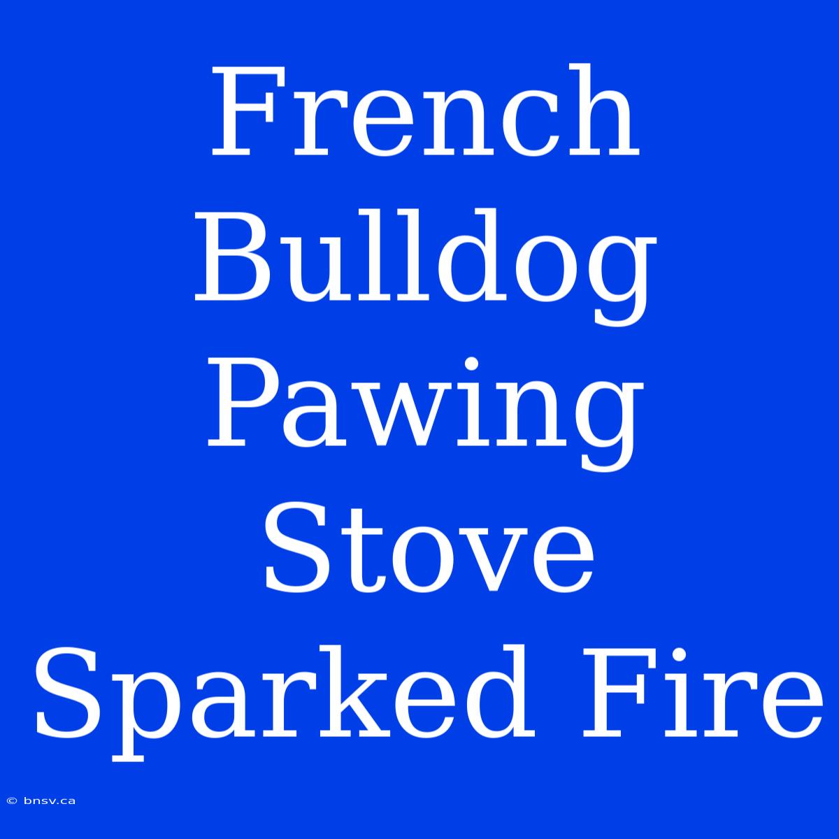 French Bulldog Pawing Stove Sparked Fire