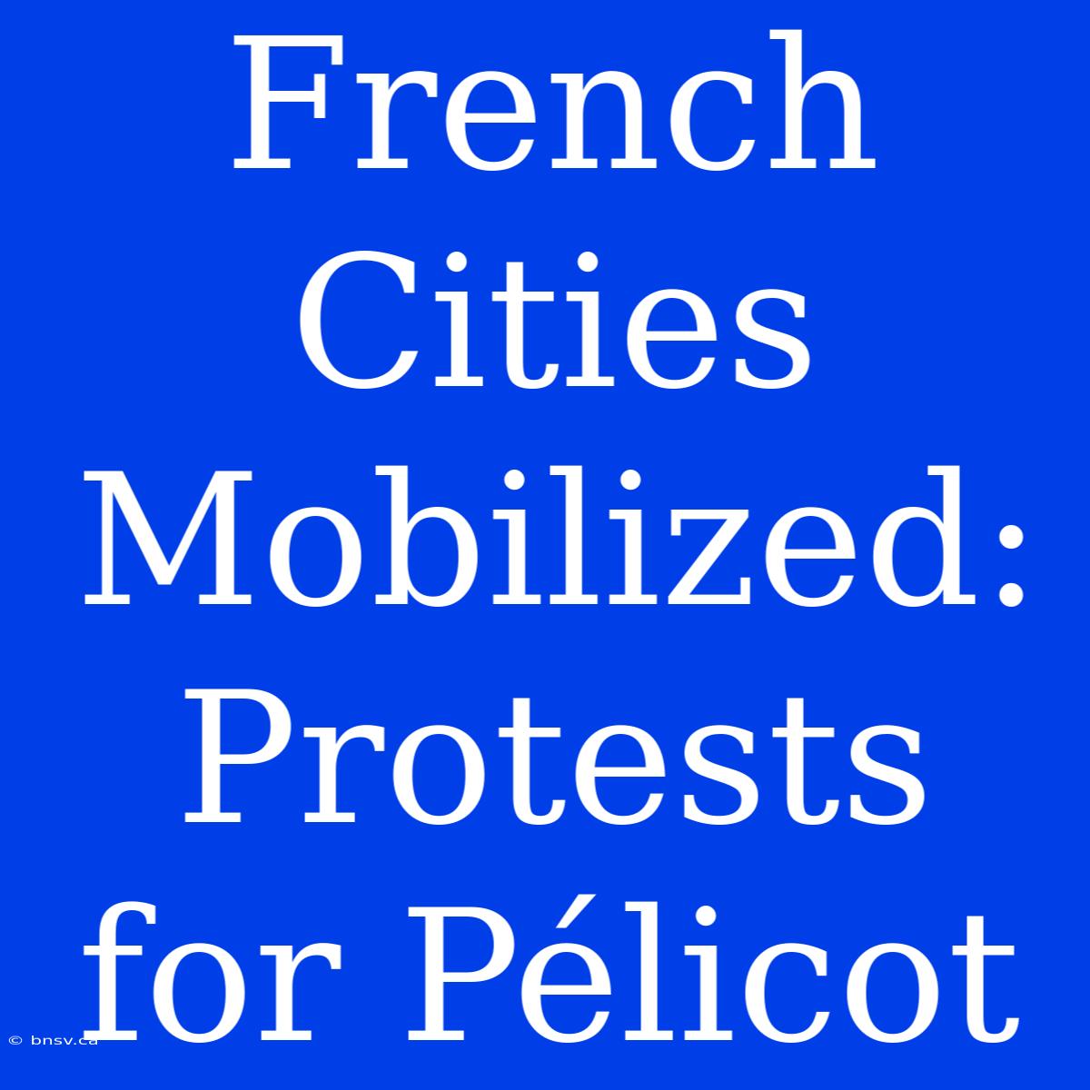 French Cities Mobilized: Protests For Pélicot