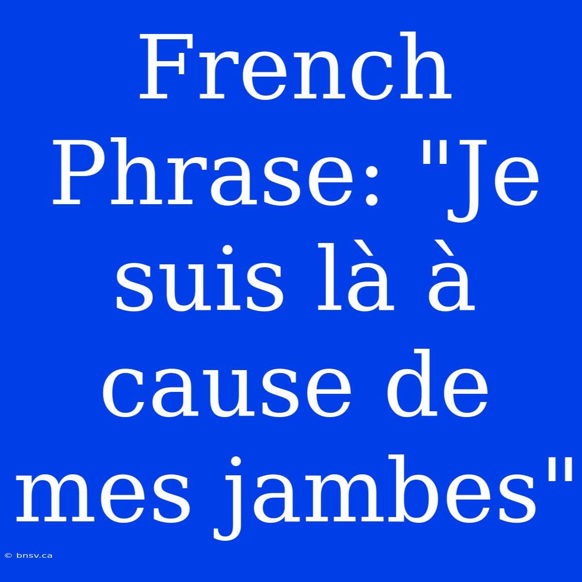 French Phrase: 