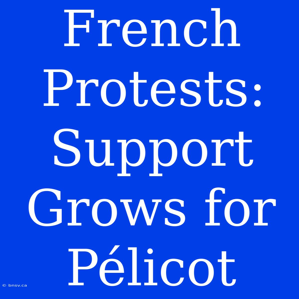 French Protests: Support Grows For Pélicot