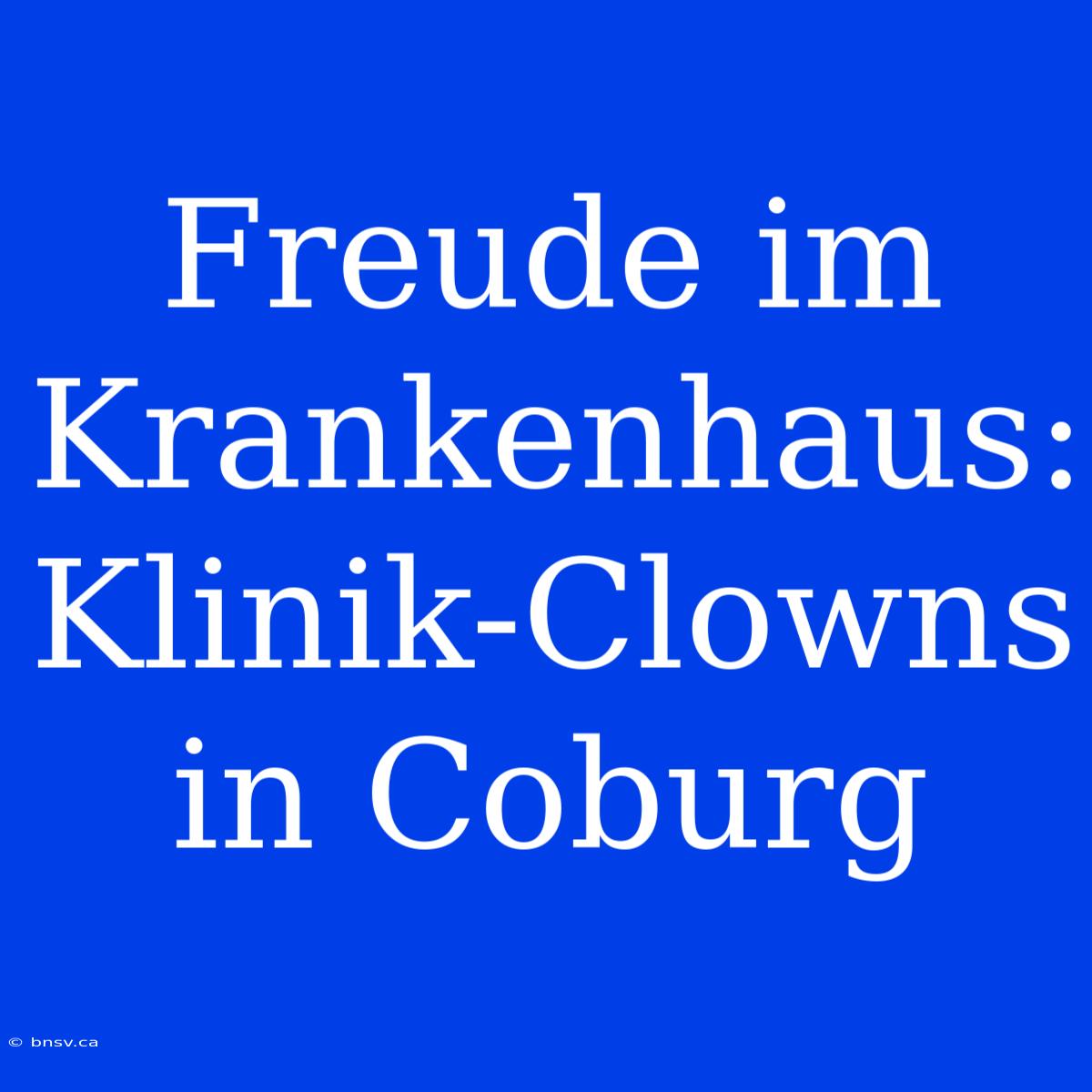 Freude Im Krankenhaus: Klinik-Clowns In Coburg