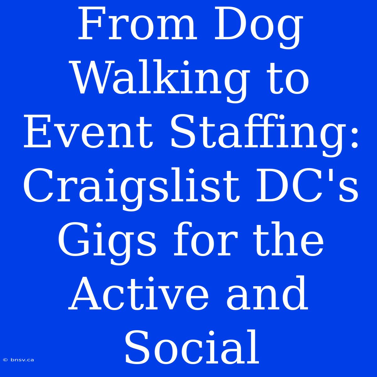 From Dog Walking To Event Staffing: Craigslist DC's Gigs For The Active And Social