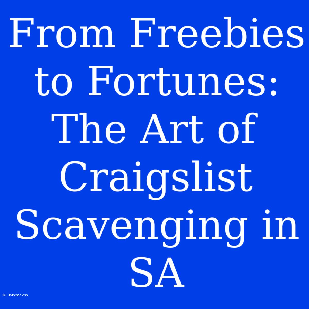 From Freebies To Fortunes: The Art Of Craigslist Scavenging In SA