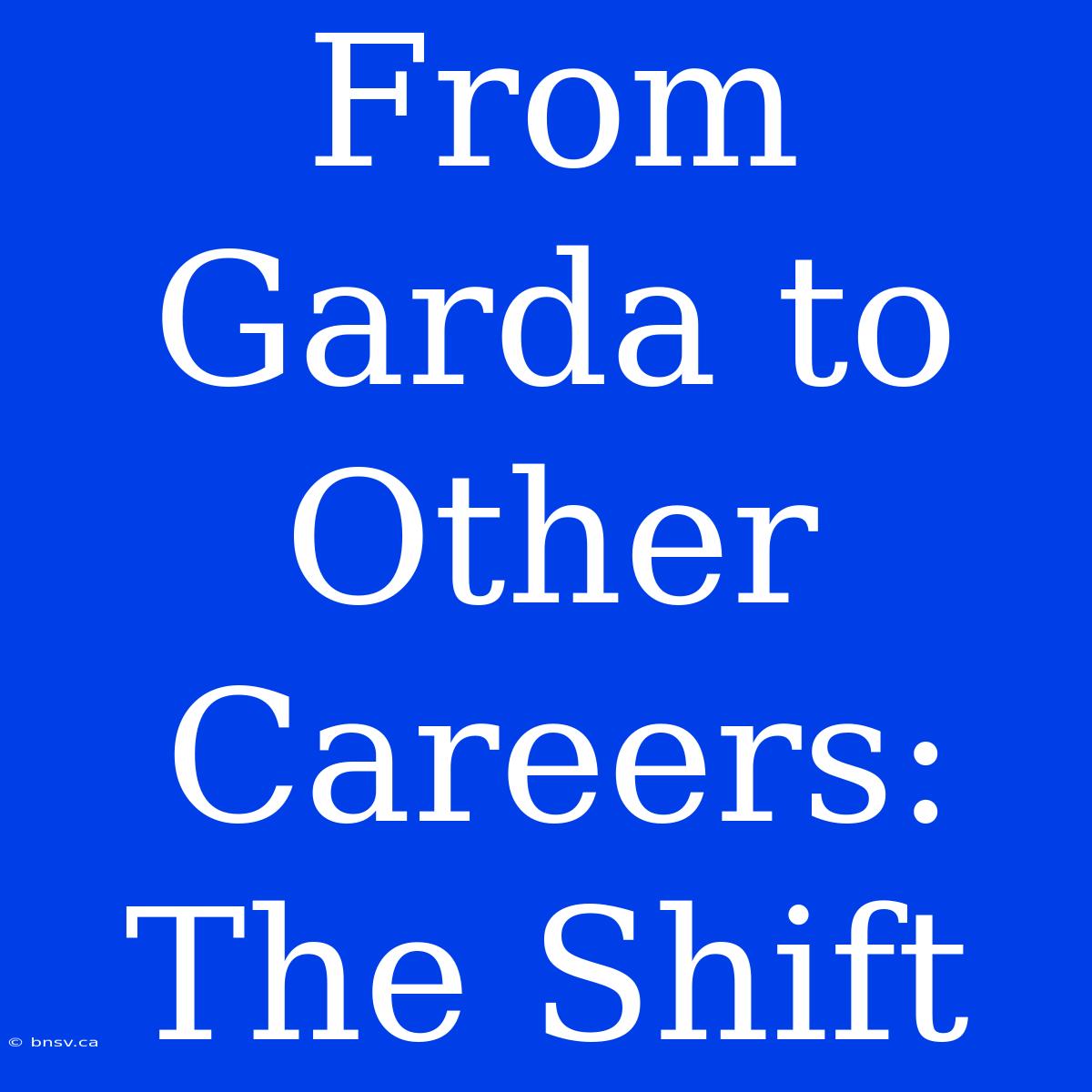 From Garda To Other Careers: The Shift