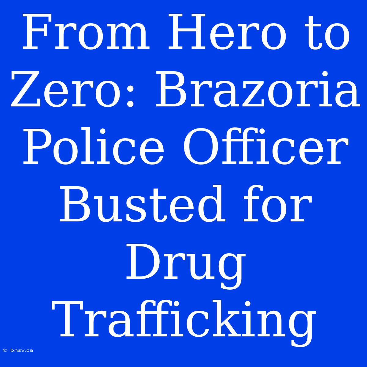 From Hero To Zero: Brazoria Police Officer Busted For Drug Trafficking