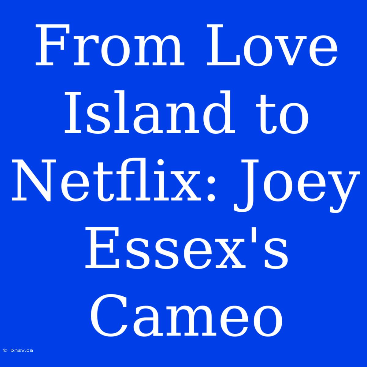 From Love Island To Netflix: Joey Essex's Cameo