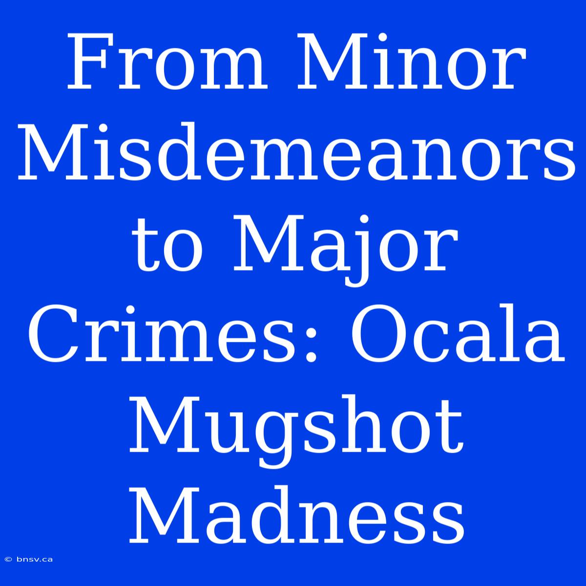 From Minor Misdemeanors To Major Crimes: Ocala Mugshot Madness