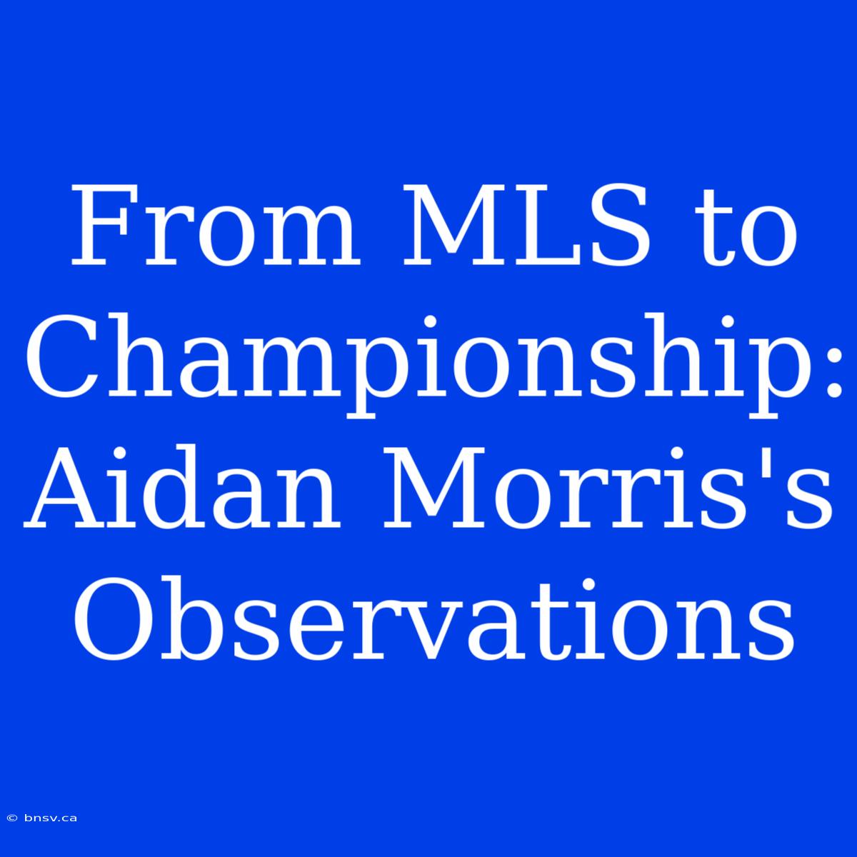 From MLS To Championship: Aidan Morris's Observations