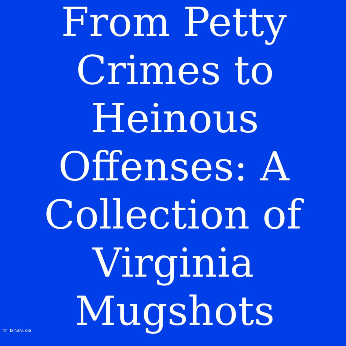 From Petty Crimes To Heinous Offenses: A Collection Of Virginia Mugshots