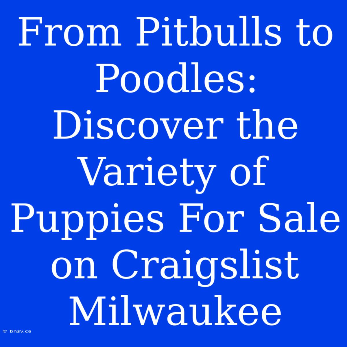 From Pitbulls To Poodles: Discover The Variety Of Puppies For Sale On Craigslist Milwaukee