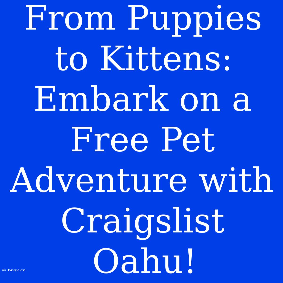 From Puppies To Kittens: Embark On A Free Pet Adventure With Craigslist Oahu!