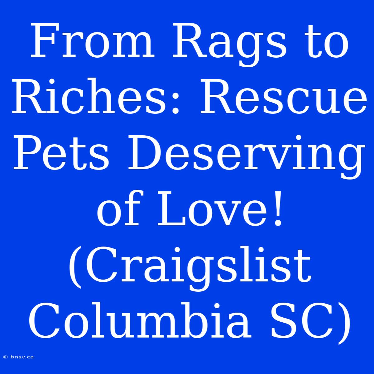 From Rags To Riches: Rescue Pets Deserving Of Love! (Craigslist Columbia SC)