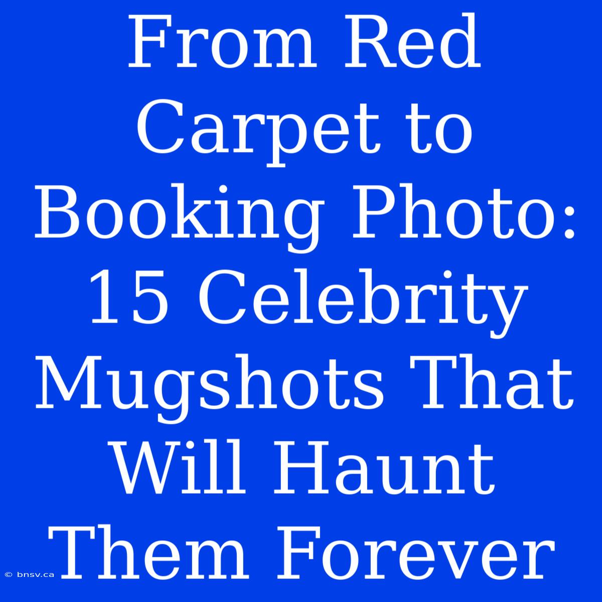 From Red Carpet To Booking Photo: 15 Celebrity Mugshots That Will Haunt Them Forever