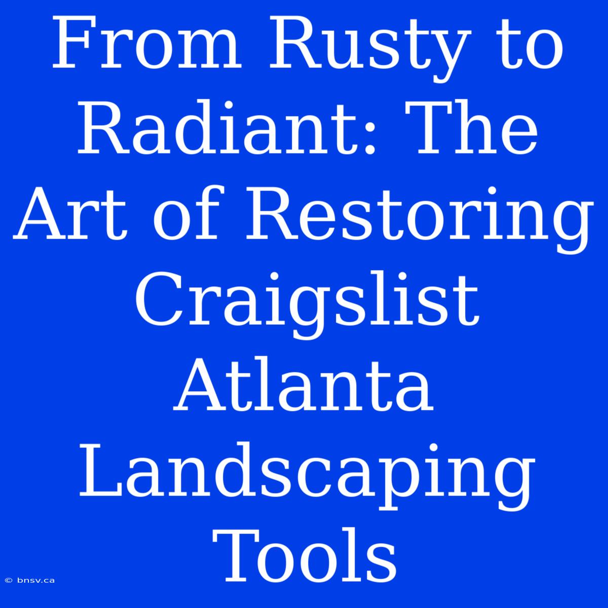 From Rusty To Radiant: The Art Of Restoring Craigslist Atlanta Landscaping Tools